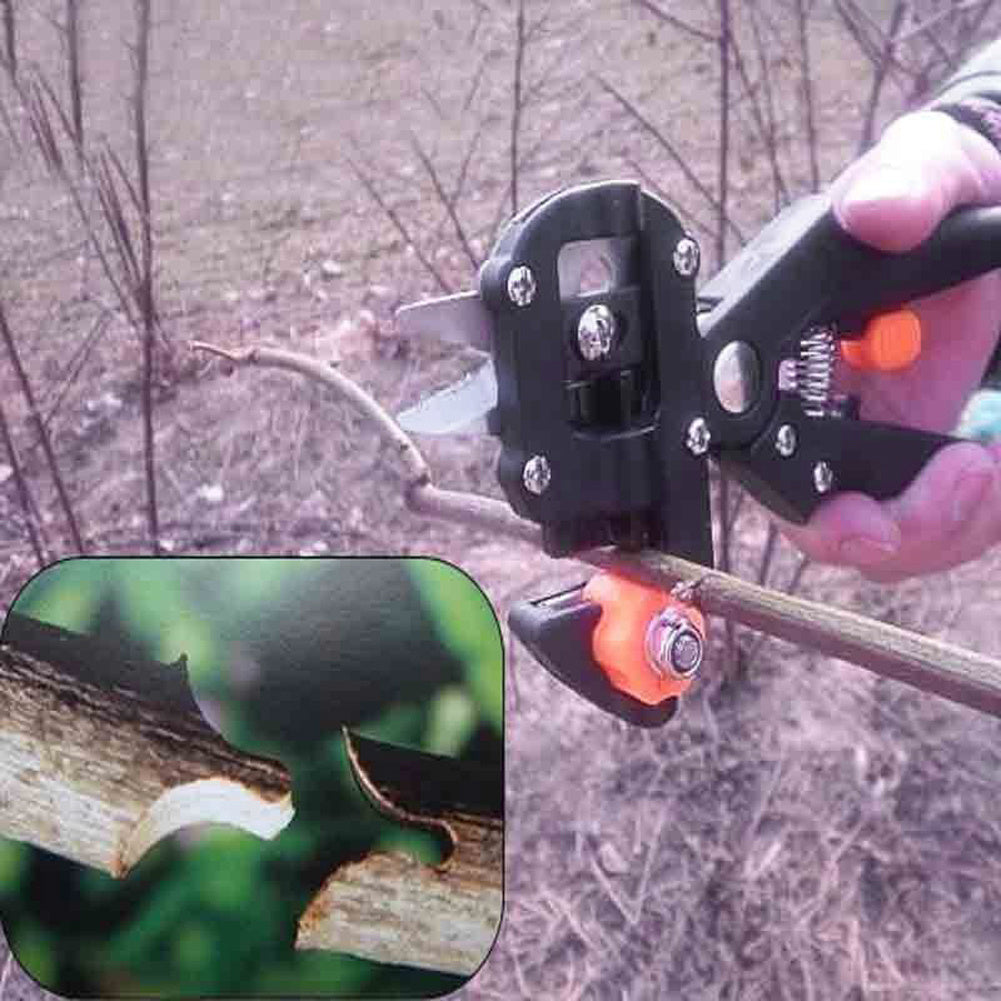 3-in-1 Professionele Entschaar – Nauwkeurige Snoeischaar voor Fruitbomen & Planten Productbeschrijving:
