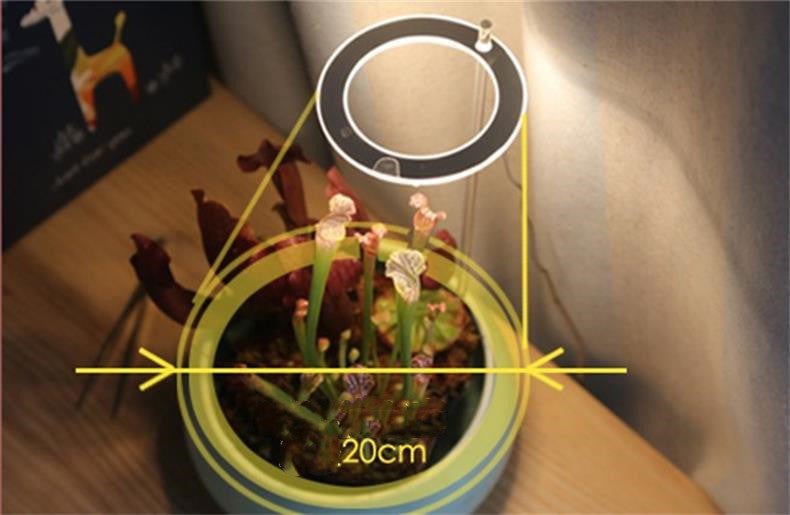 Sybille – LED Plantenlamp met Volledig Spectrum voor Binnenplanten