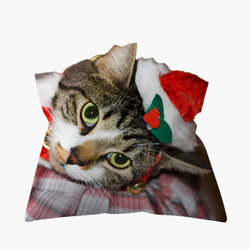 Raphael – Kerst Kussenhoes met Dierenontwerp van Katten en Honden