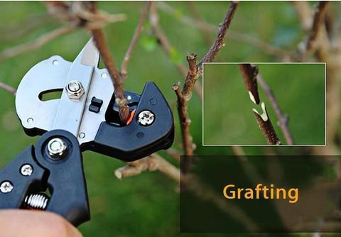 3-in-1 Professionele Entschaar – Nauwkeurige Snoeischaar voor Fruitbomen & Planten Productbeschrijving: