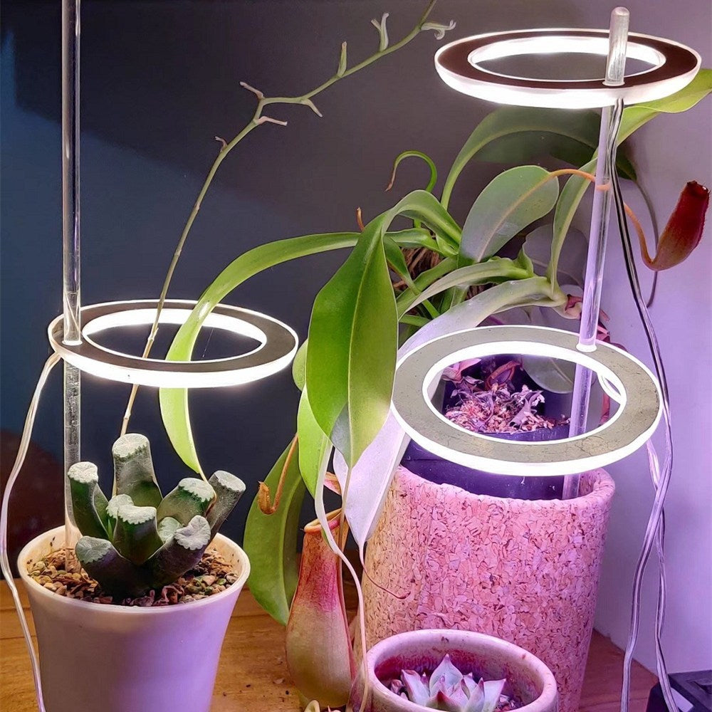 Magdalene – LED Groei Lamp met Volledig Spectrum voor Planten