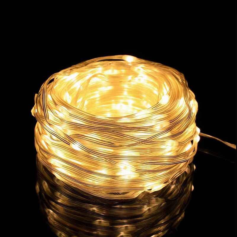 Evadne – LED Lederen Draadlichtsnoer met Laag Voltage 24V