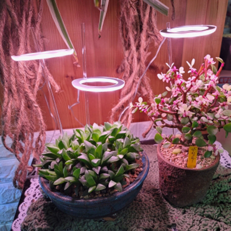 Magdalene – LED Groei Lamp met Volledig Spectrum voor Planten