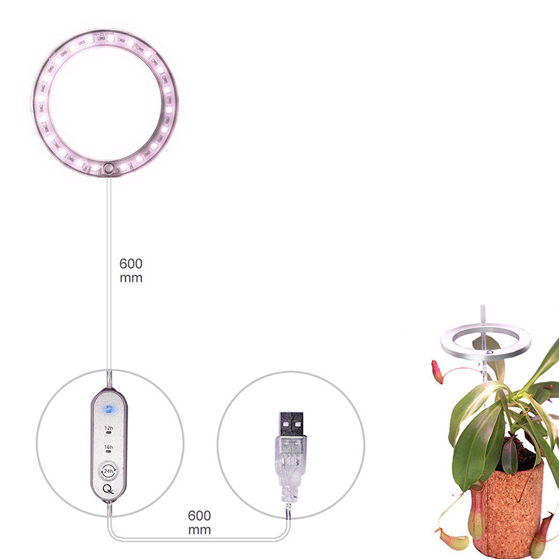 Magdalene – LED Groei Lamp met Volledig Spectrum voor Planten