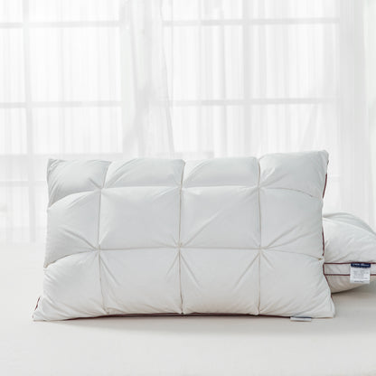 Orion – Luxe Kussen van Witte Ganzenveren