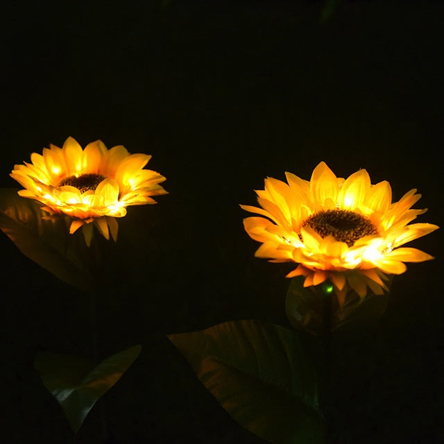 Haven – Decoratieve LED Zonnebloemlampen