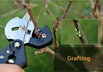 3-in-1 Professionele Entschaar – Nauwkeurige Snoeischaar voor Fruitbomen & Planten  Productbeschrijving: