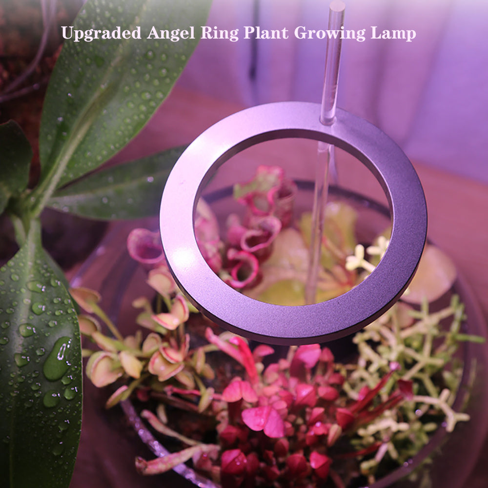 Magdalene – LED Groei Lamp met Volledig Spectrum voor Planten