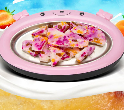 Anneliese – Compacte IJsmachine voor Gezond IJs