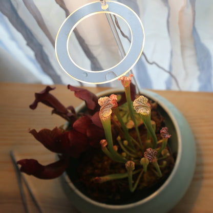 Sybille – LED Plantenlamp met Volledig Spectrum voor Binnenplanten